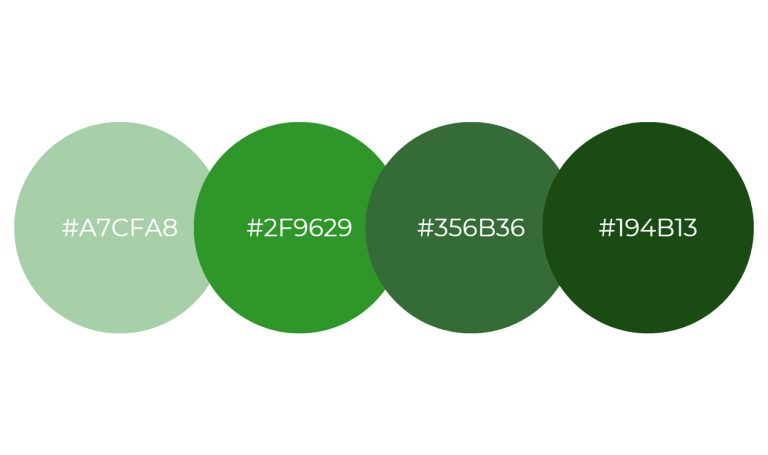 HAPPY BEAR PRESCHOOL