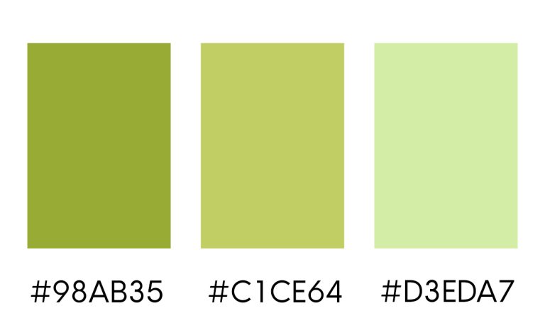 LITTLE BEANS MONTESSORI